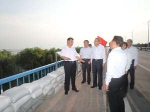 习近平在合肥考察调研
