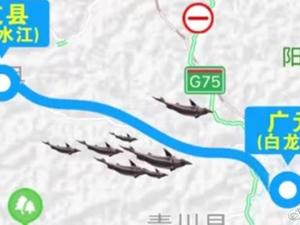 心疼！甘肃上千万斤大型养殖鲟鱼因暴雨流入四川，青川率先规定禁止捕捞