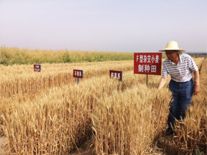 农业农村部：能守住口粮绝对安全底线，大豆等适度进口是我国粮食安全重要组成部分