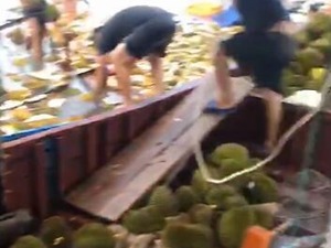 广西一货船侧翻榴莲漂浮海面，村民哄抢食用后群体性食物中毒
