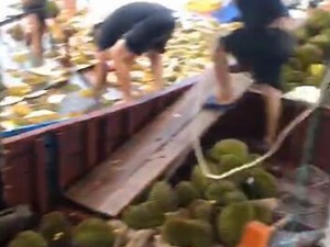广西货船侧翻榴莲被哄抢，食用者中五百多人不适，九人留院观察