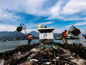 交通运输部答每经问：拧紧向长江排污的“水龙头”，免费接收船舶垃圾设施已基本覆盖沿江