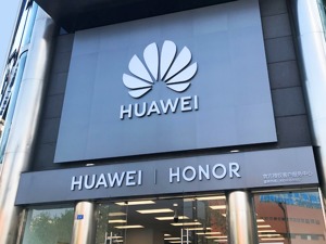 华为又迎大消息！上半年净赚431亿，俄法两国就与华为5G合作表态！鸿蒙2.0即将亮相，任正非最新发声