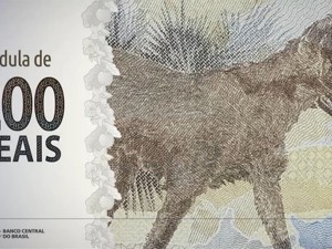 巴西确诊数逼近400万！政府累计发放紧急救助款超2000亿元，为此还投放200雷亚尔最高面值纸币