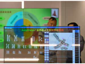 用数字化平台为企业赋能！专家：完成组织层面上的“转基因”工程，是企业迈向数字经济的入场券