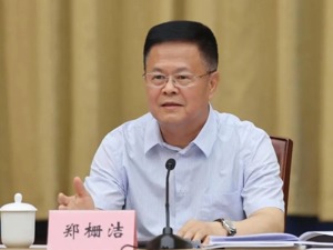 见证宁波“最佳表现”，郑栅洁出任浙江代省长