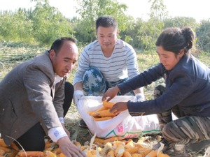沙比拉木的生活像“红花”一样红