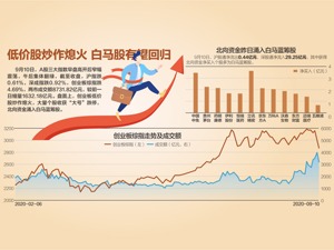 创业板掀跌停潮 投资者如何自处？