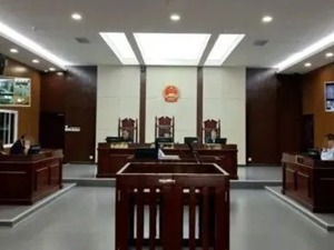 恶意拖欠126名农民工工资486万元，被告人被判处两年十个月有期徒刑