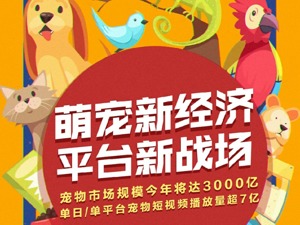 每5秒一场宠物直播 萌宠短视频催生新经济“养活”铲屎官