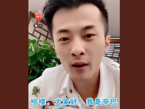 豪掷4.3亿元现金，“快手一哥”辛巴携手合伙人入股起步股份