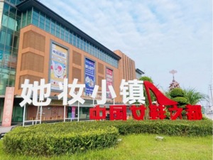 “中国医美直播产业示范中心”落户成都武侯