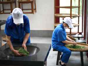 税收助力 四川把“茶篮子”变成“钱袋子”