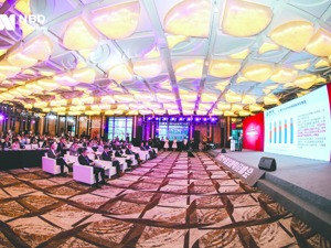 经济复苏 金融助力——2020中国金融每经峰会特别报道