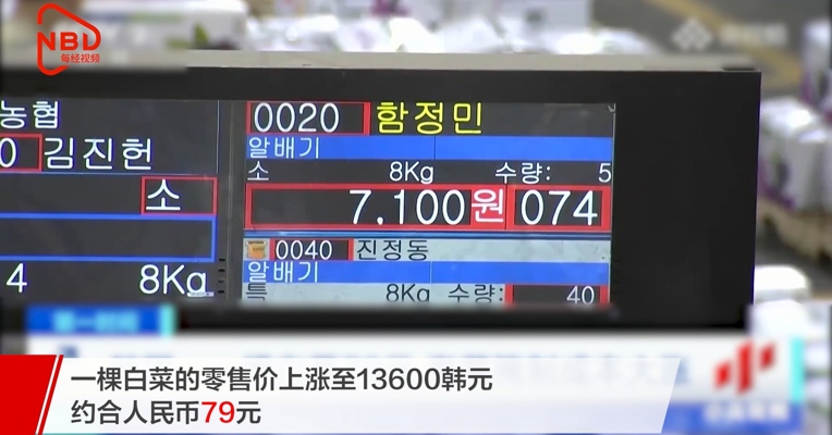 #韩国1棵白菜79元#网友大呼商机来了！