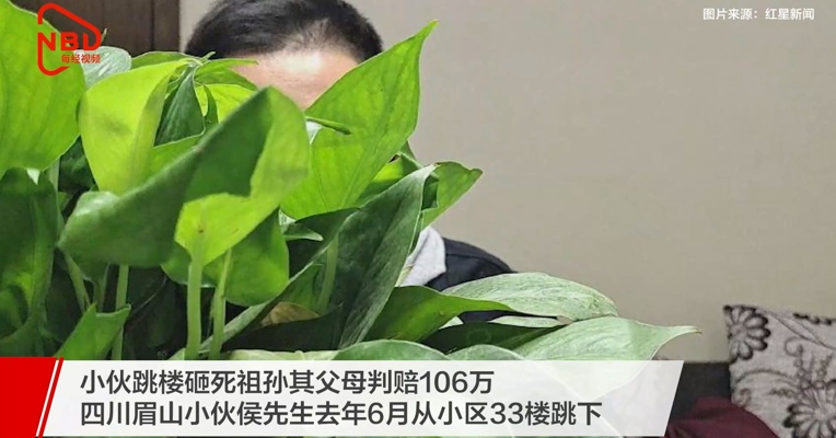 小伙跳楼砸死祖孙其父母判赔106万