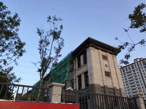 交房才被告知是违建，自家别墅电梯说拆就拆！开发商说这样赔......