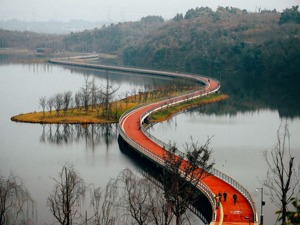 成都文物考古研究院院长颜劲松：如何以文化遗产保护推动城市经济发展？