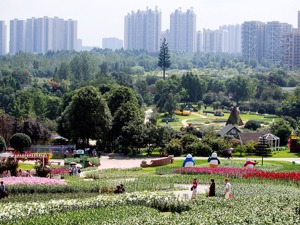 中国城市规划设计研究院院长王凯：城市规划要软硬结合，公园城市形态应是“城在园中”