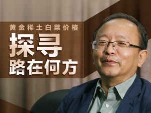十年稀土价未涨 盛和资源董事长胡泽松：要专业化分工，要内外“双循环”