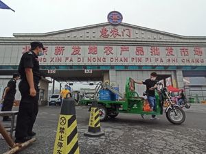 重磅！北京新发地新冠疫情病毒源头有了最新结论，原来是...