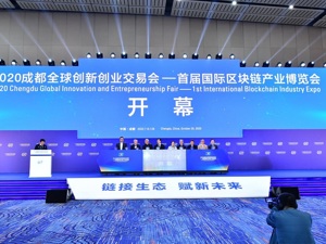 46条信息、30个项目 成都发布首批区块链应用场景供给清单