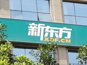 新东方二次上市今起全球发售 募资过百亿力推OMO战略