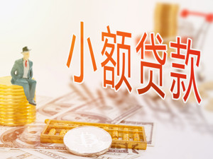 10亿、50亿注册资本门槛“拦住”多数网络小贷公司  业内：牌照价值会下降