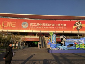 进博会日记 | 缩短开放“时差”，内陆城市还缺什么