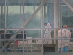 后疫情时代如何实现经济复苏？专家：加强国际抗疫合作，加快推进数字化转型
