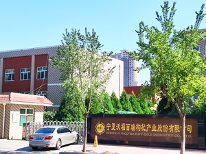 沃福百瑞IPO今日二次上会：核心客户被指传销遭集体诉讼 忽略与经销商关联关系？