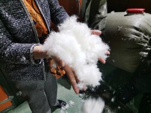 投机者进场、上下游挤压  羽绒行业今年坐上“过山车”