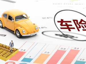 车险综改首月成绩单出炉：财险龙头保费增速转负，人保财险10月车险同比降7% 