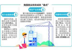 国务院扶贫办答每经记者问：所有贫困人口收入均超脱贫标准