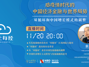 云上每经｜余永定：双循环和中国增长模式的调整