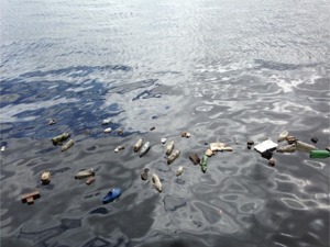 减少土地退化、应对海洋塑料垃圾……中国促G20加强合作，打造更牢固全球生态安全屏障