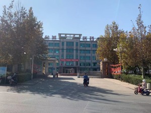 金城医药200吨尼古丁项目迷雾：传言漫天不公告 股价翻倍高管套现1.9亿
