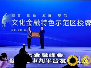 候选案例：紧扣区域主导产业发展 构建全国一流金融服务保障体系