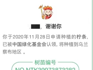 高质量、可持续发展：内蒙古牵手长三角