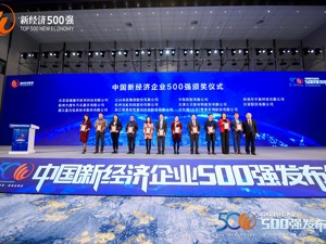 大搜车入选中国新经济企业500强