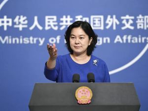 要到WTO告中国，还因一幅画要中国道歉！对澳大利亚，华春莹四个反问强势回击
