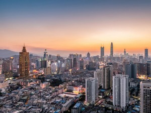 刘守英×陆铭：城市化道路不坚决，导致农民难以取舍