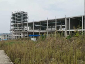 用65页更正2019年年报 延安必康这两年都在动荡中 财务数据质量存疑，大客户“赊账”数亿，控股股东去向不明