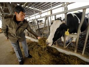 国家税务总局：实施小微企业普惠性税收减免，“十三五”税务系统帮扶72万多建档立卡贫困户顺利脱贫
