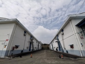  平台融智+银行融资 恒丰银行自贡分行为自贡粮仓装上金融“稳定器”