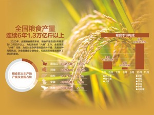 13390亿斤！全国粮食产量再创新高