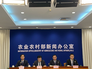 为何在长江口开展禁捕联合执法行动？农业农村部回应每经：统筹加强江海捕捞管理，清理整治非法捕捞行为