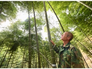 我国森林碳储量年均增加2亿吨，力争到2025年森林覆盖率达到24.1%，将推行木竹替代钢材水泥等原材料战略