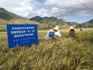 中央经济工作会议：建设国家粮食安全产业带 开展种源“卡脖子”技术攻关