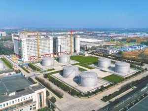 匠心传承引领品质升级 剑指百亿西凤擘画新蓝图